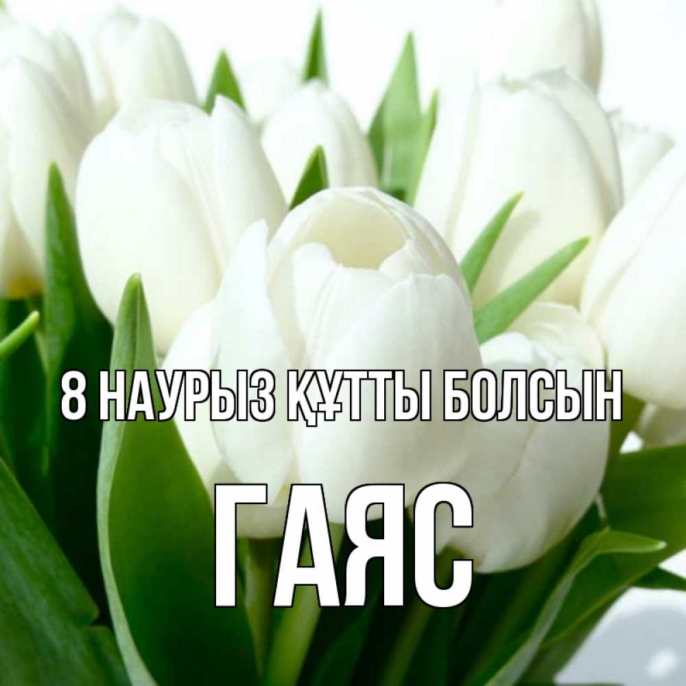 Күн сайын ашық хат с именем, Гаяс 8 наурыз құтты болсын цветы Онлайн тегін жүктеп алу тілектері бар керемет карта 