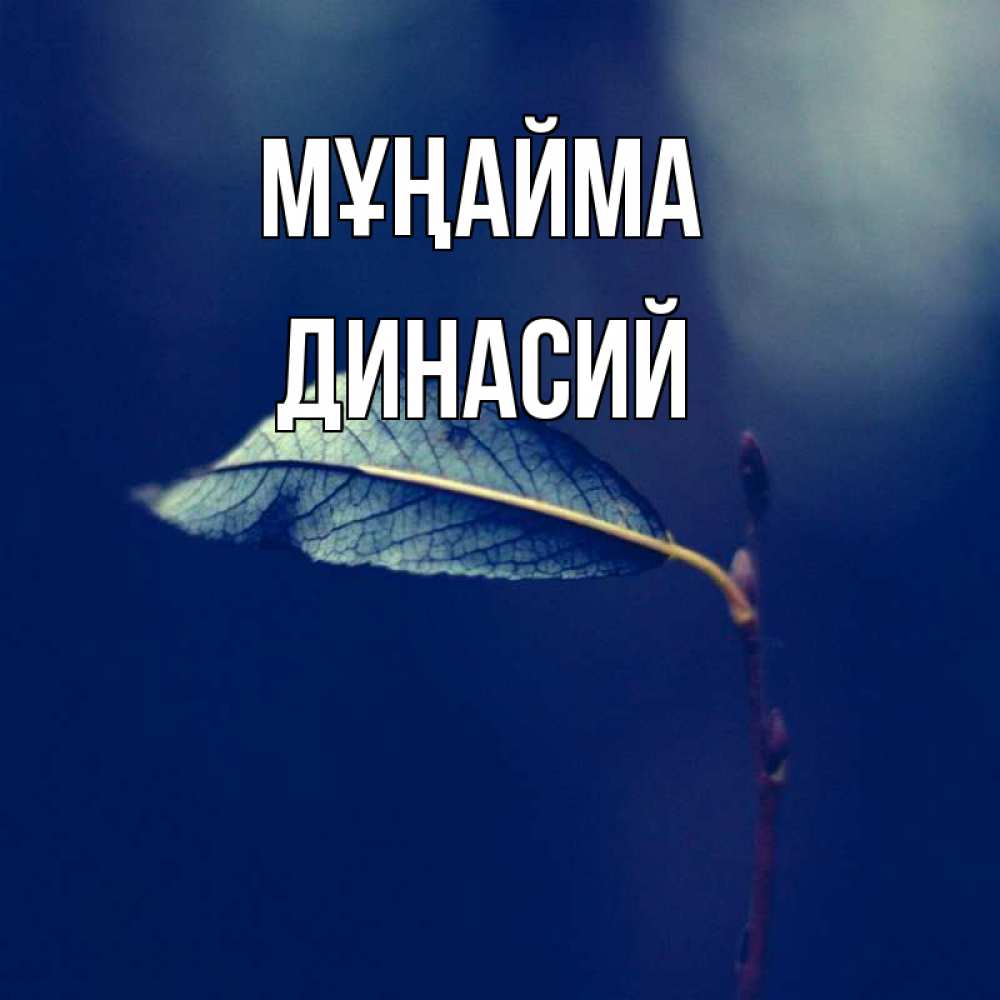 Күн сайын ашық хат с именем, Динасий Мұңайма растение Онлайн тегін жүктеп алу тілектері бар керемет карта 