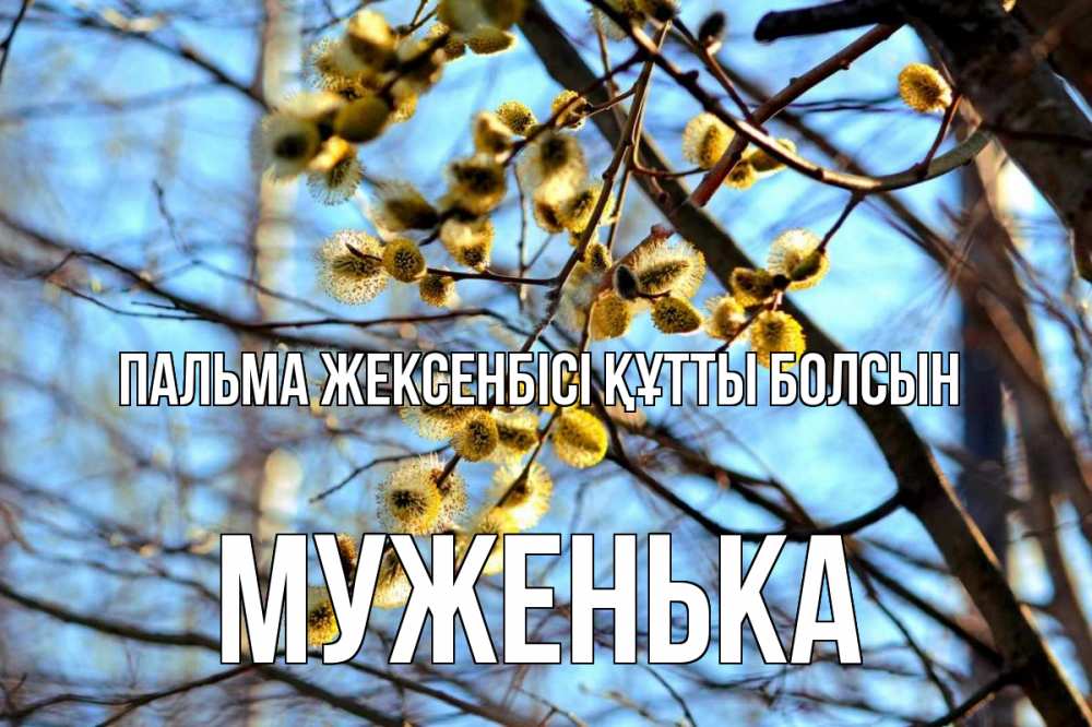 Күн сайын ашық хат с именем, Муженька Пальма жексенбісі құтты болсын верба Онлайн тегін жүктеп алу тілектері бар керемет карта 