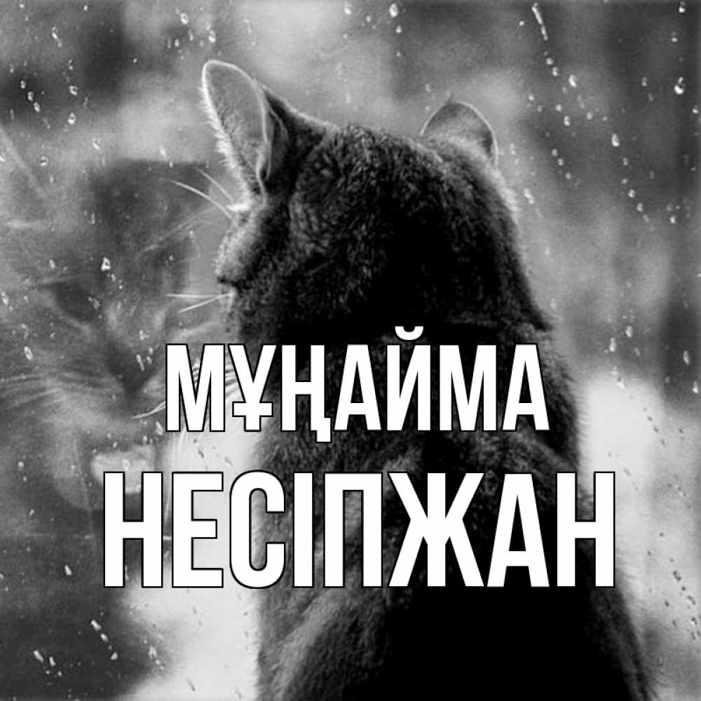 Күн сайын ашық хат с именем, НЕСІПЖАН Мұңайма отражение кота 1 Онлайн тегін жүктеп алу тілектері бар керемет карта 