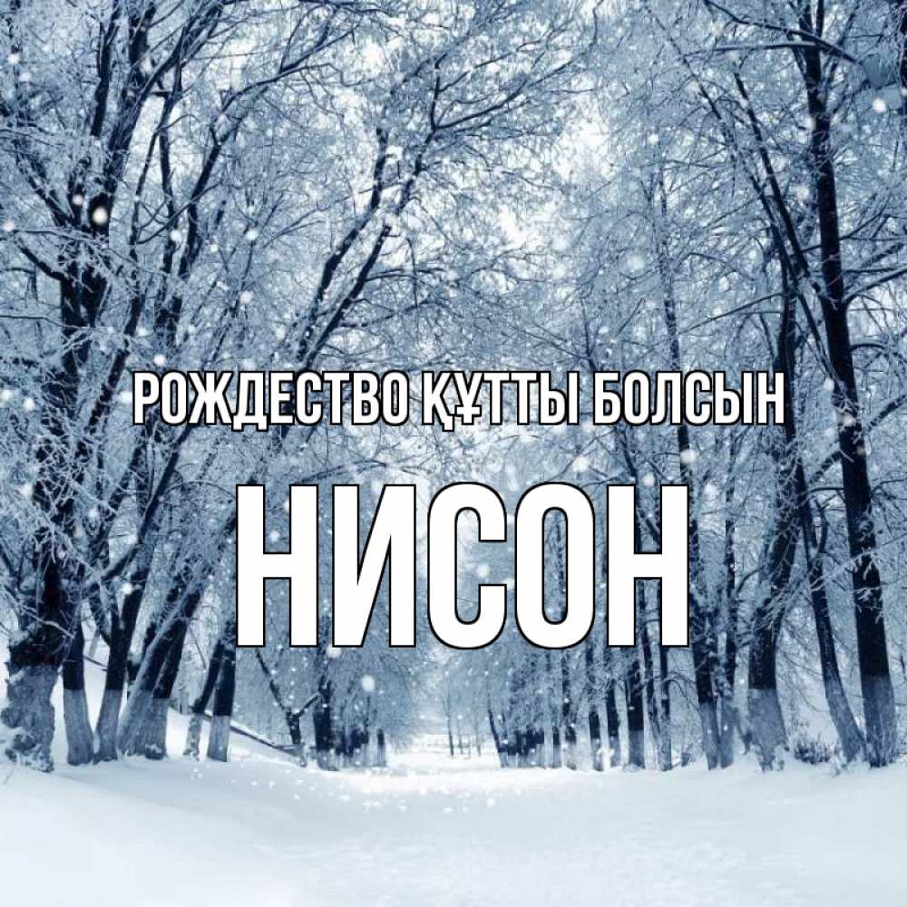 Күн сайын ашық хат с именем, Нисон Рождество құтты болсын снег, лес, парк Онлайн тегін жүктеп алу тілектері бар керемет карта 
