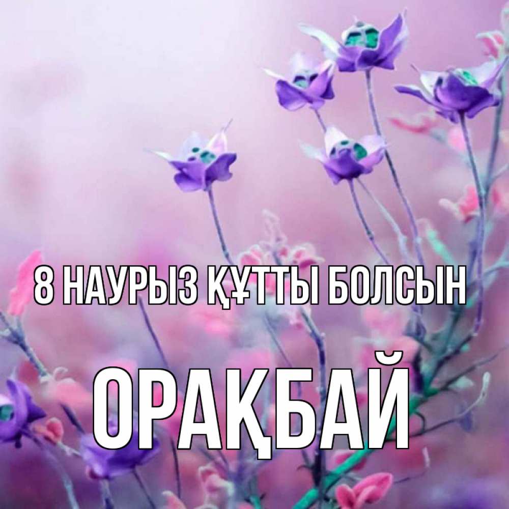 Күн сайын ашық хат с именем, ОРАҚБАЙ 8 наурыз құтты болсын международный женский день 2 Онлайн тегін жүктеп алу тілектері бар керемет карта 