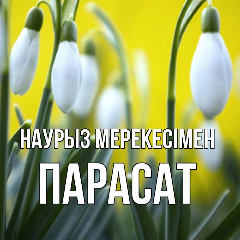 Күн сайын ашық хат с именем, ПАРАСАТ Наурыз мерекесімен весенние цветы Онлайн тегін жүктеп алу тілектері бар керемет карта 