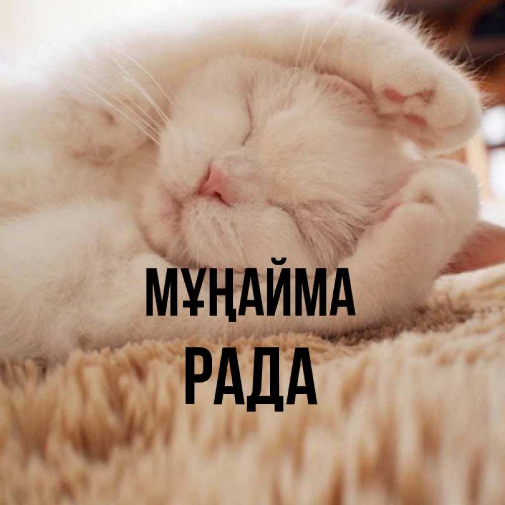 Күн сайын ашық хат с именем, Рада Мұңайма Котенок спит Онлайн тегін жүктеп алу тілектері бар керемет карта 