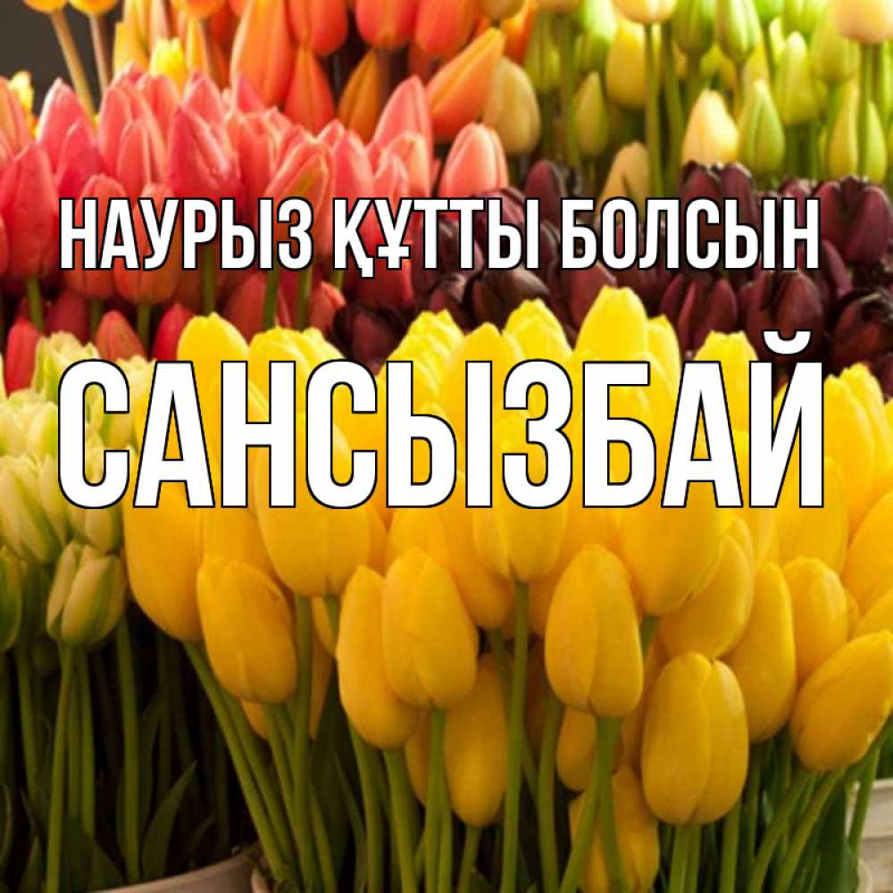 Күн сайын ашық хат с именем, САНСЫЗБАЙ Наурыз құтты болсын цветы Онлайн тегін жүктеп алу тілектері бар керемет карта 