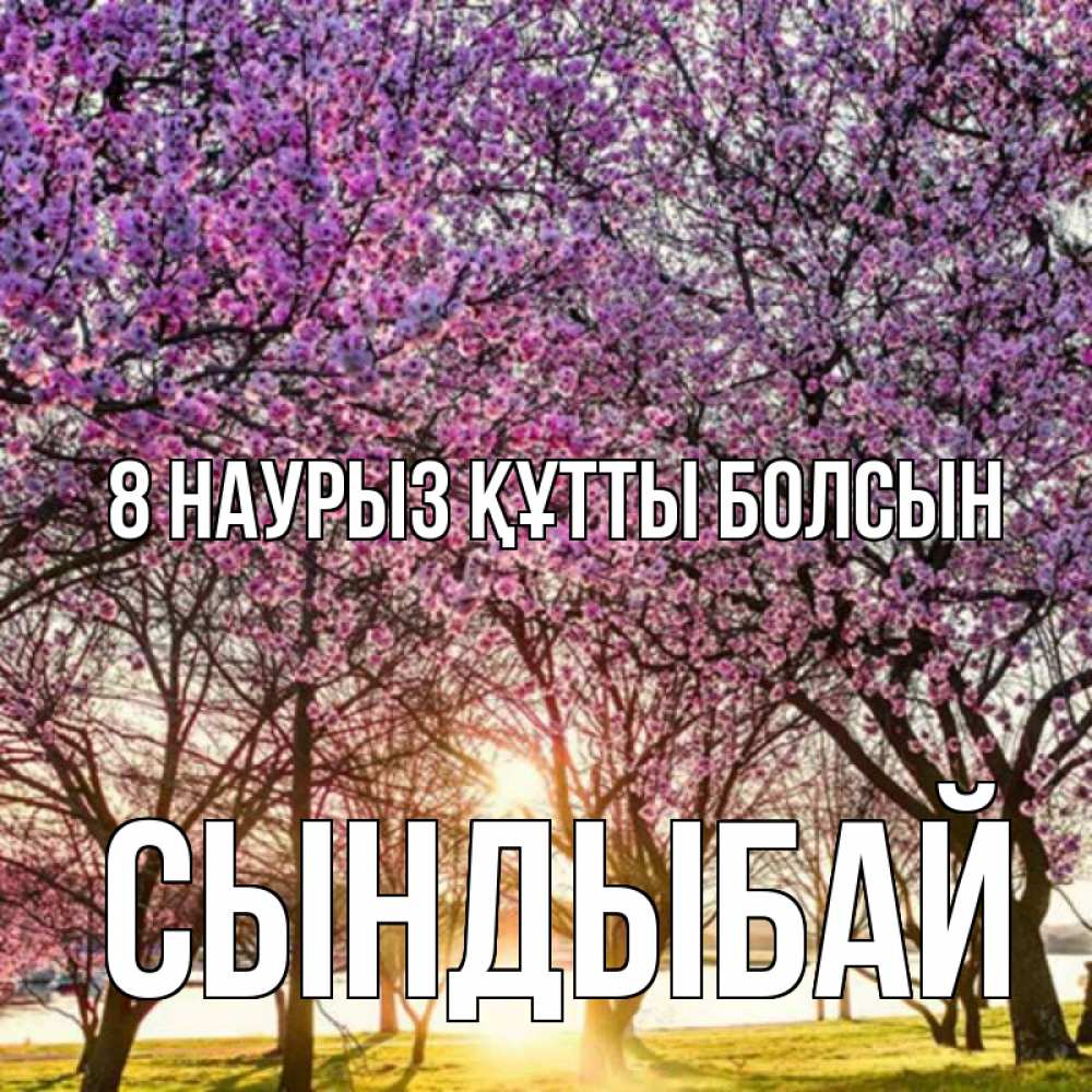 Күн сайын ашық хат с именем, СЫНДЫБАЙ 8 наурыз құтты болсын международный женский день Онлайн тегін жүктеп алу тілектері бар керемет карта 
