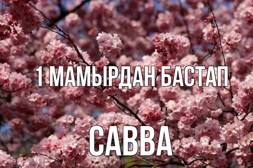 Күн сайын ашық хат с именем, Савва 1 мамырдан бастап С 1 мая Онлайн тегін жүктеп алу тілектері бар керемет карта 