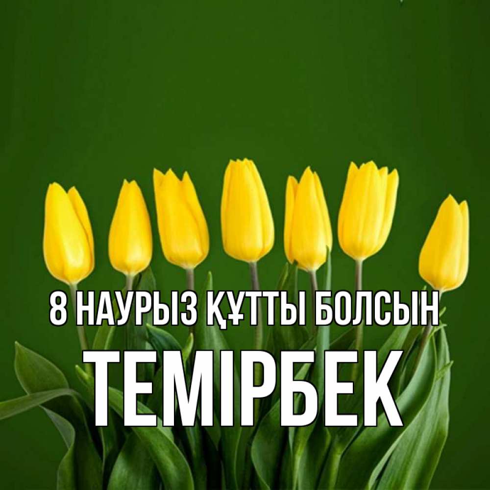 Күн сайын ашық хат с именем, ТЕМІРБЕК 8 наурыз құтты болсын желтого цвета 3 Онлайн тегін жүктеп алу тілектері бар керемет карта 