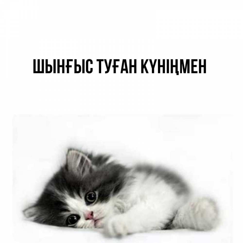 Картинка  с именем , ШЫНҒЫС! ТУҒАН КҮНІҢМЕН!
