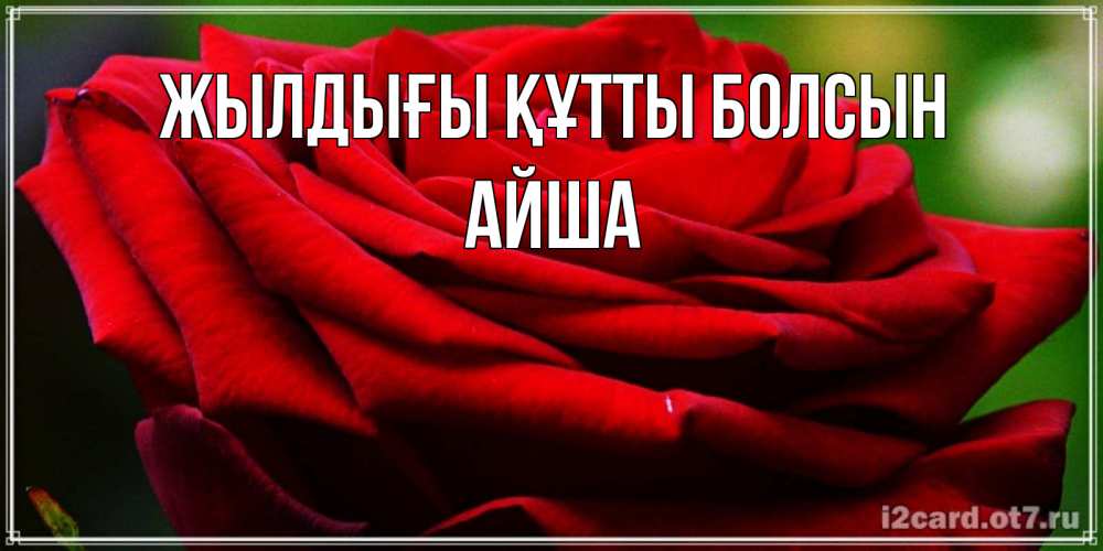 Күн сайын ашық хат с именем, АЙША Жылдығы құтты болсын розочка очень красивая Онлайн тегін жүктеп алу тілектері бар керемет карта 