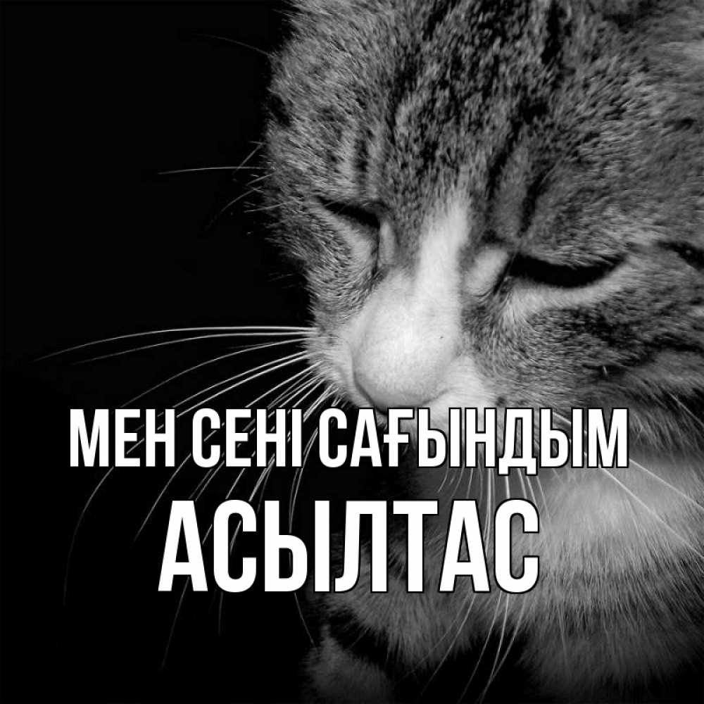 Күн сайын ашық хат с именем, АСЫЛТАС Мен сені сағындым мне скучно Онлайн тегін жүктеп алу тілектері бар керемет карта 