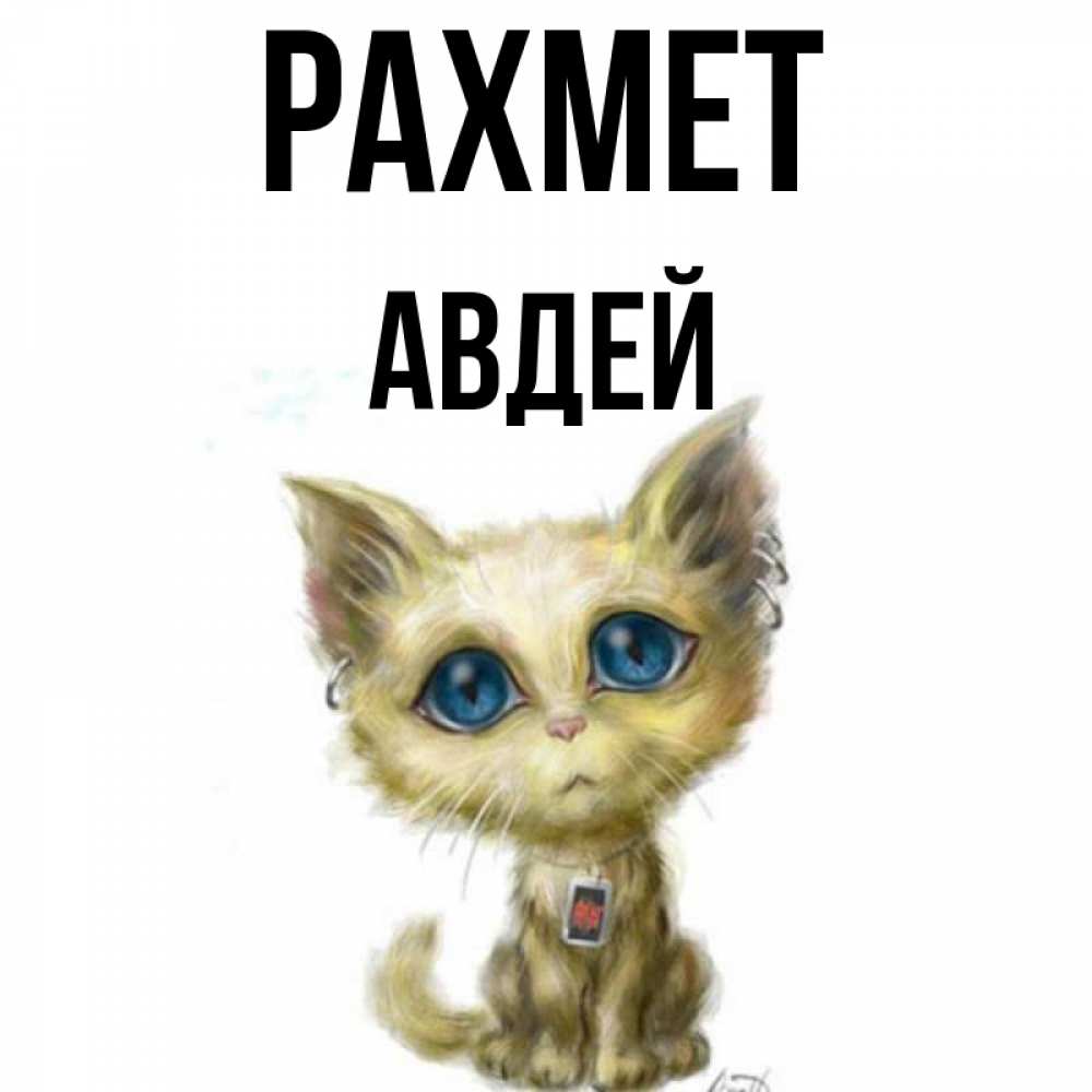 Күн сайын ашық хат с именем, Авдей рахмет рисованный кот благодарит вас Онлайн тегін жүктеп алу тілектері бар керемет карта 