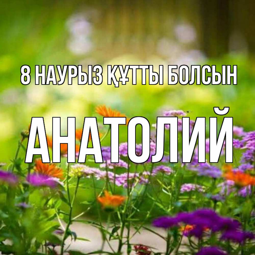 Күн сайын ашық хат с именем, Анатолий 8 наурыз құтты болсын цветы Онлайн тегін жүктеп алу тілектері бар керемет карта 
