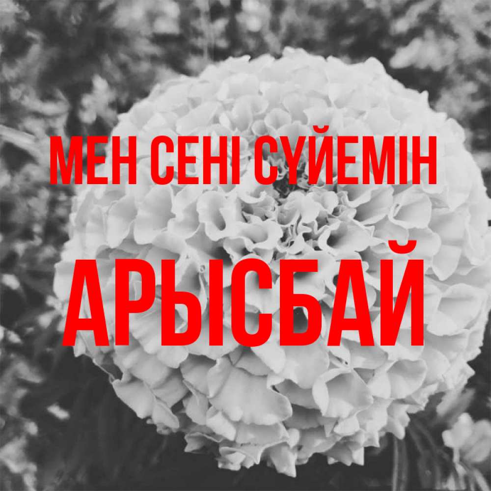 Күн сайын ашық хат с именем, Арысбай Мен сені сүйемін подпись Онлайн тегін жүктеп алу тілектері бар керемет карта 