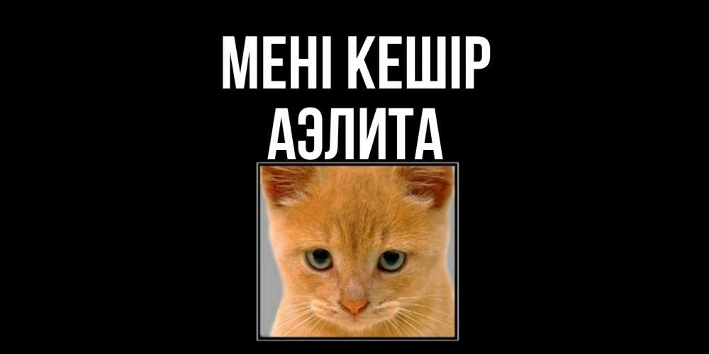 Күн сайын ашық хат с именем, Аэлита Мені кешір рыжий грустный кот просит прощения Онлайн тегін жүктеп алу тілектері бар керемет карта 