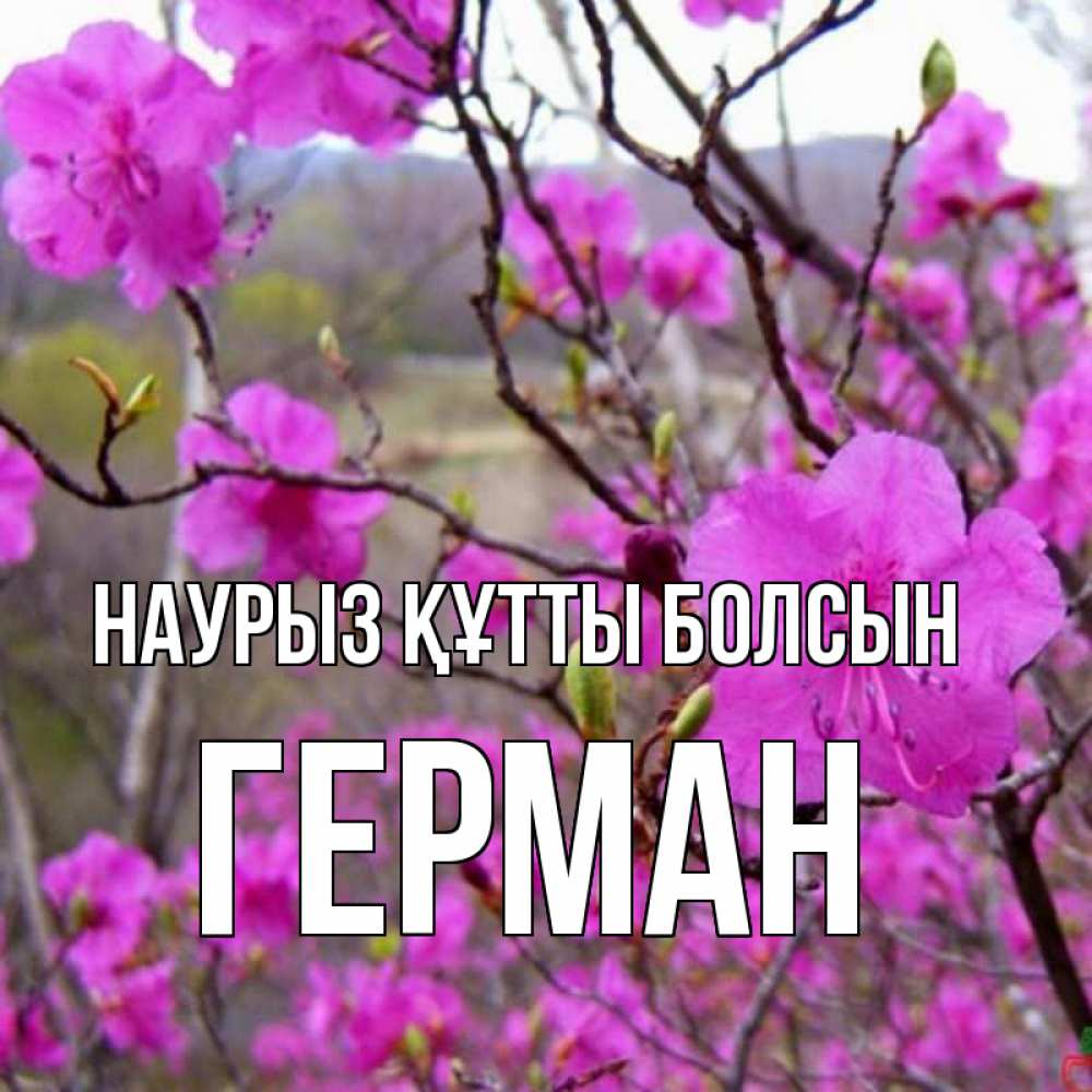 Күн сайын ашық хат с именем, Герман Наурыз құтты болсын наурыз мейрамы кутты болсын Онлайн тегін жүктеп алу тілектері бар керемет карта 
