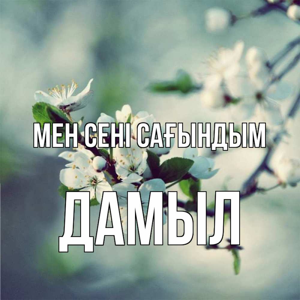 Күн сайын ашық хат с именем, Дамыл Мен сені сағындым весна Онлайн тегін жүктеп алу тілектері бар керемет карта 