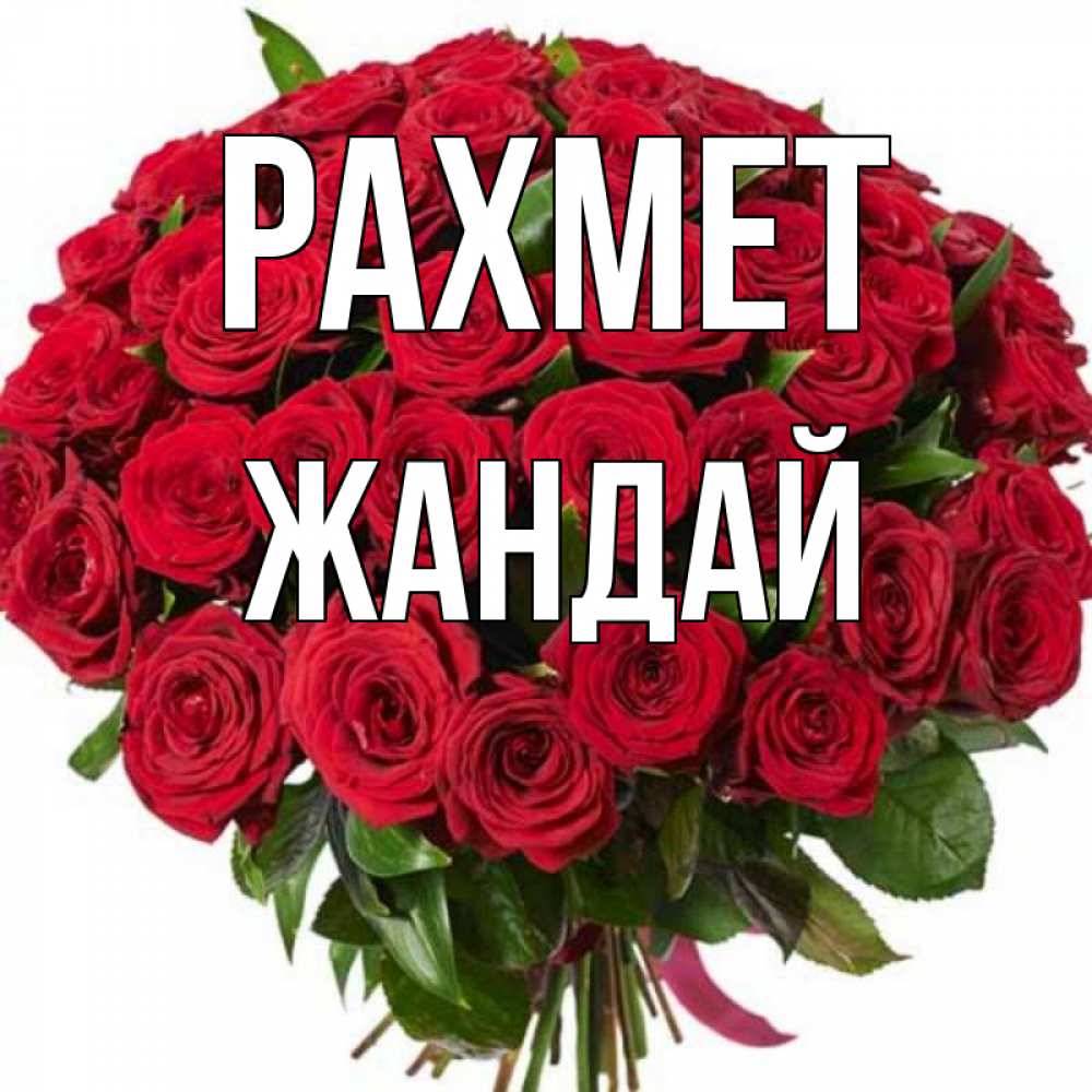 Күн сайын ашық хат с именем, Жандай рахмет букет красных роз Онлайн тегін жүктеп алу тілектері бар керемет карта 