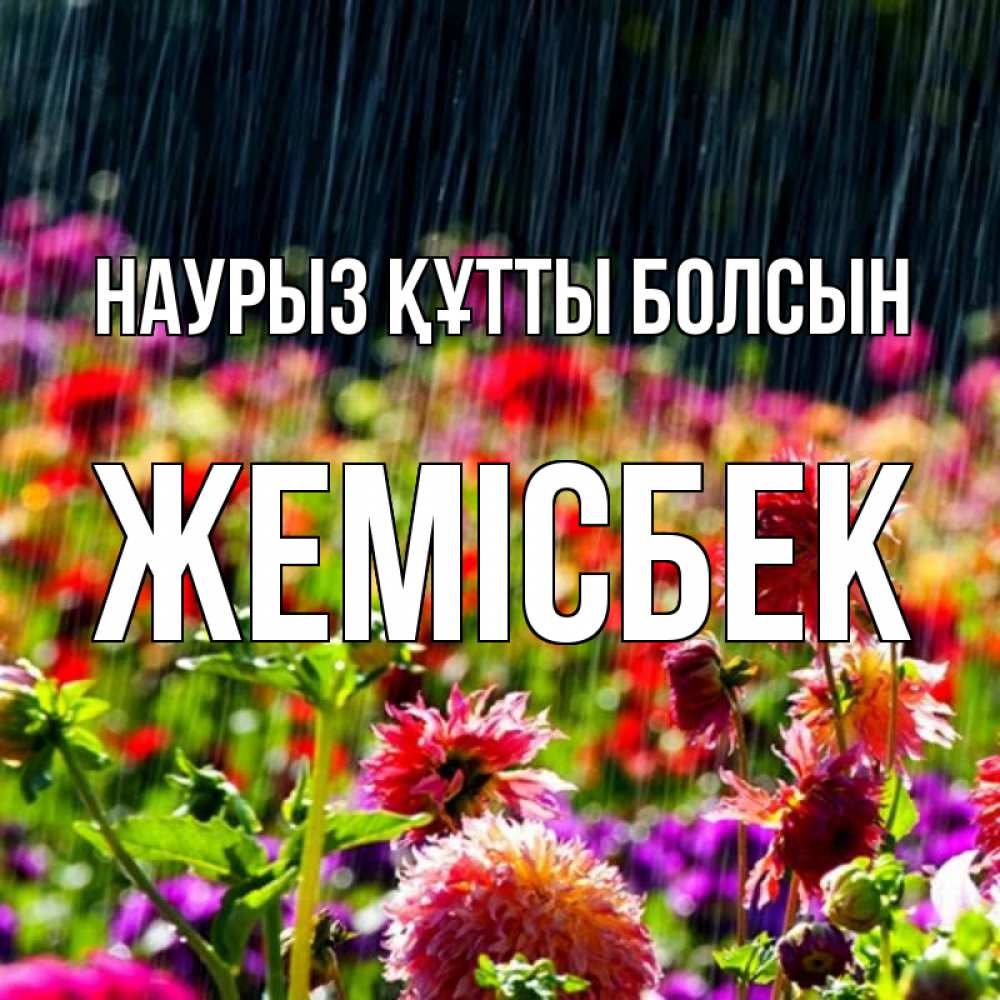Күн сайын ашық хат с именем, Жемісбек Наурыз құтты болсын цветы под дождиком к наурызу Онлайн тегін жүктеп алу тілектері бар керемет карта 