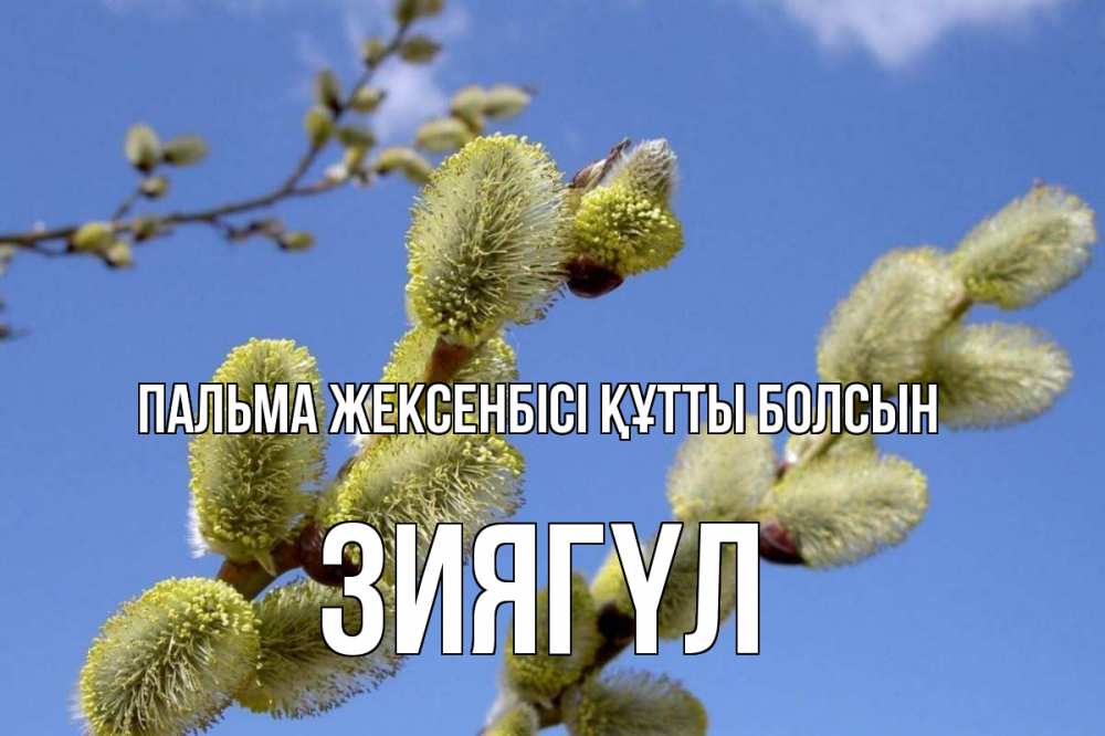 Күн сайын ашық хат с именем, ЗИЯГҮЛ Пальма жексенбісі құтты болсын верба Онлайн тегін жүктеп алу тілектері бар керемет карта 