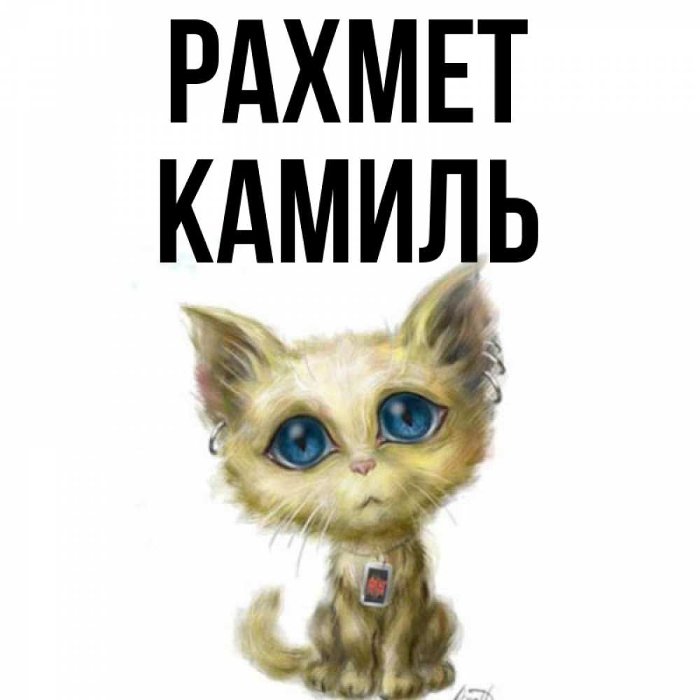 Күн сайын ашық хат с именем, Камиль рахмет рисованный кот благодарит вас Онлайн тегін жүктеп алу тілектері бар керемет карта 