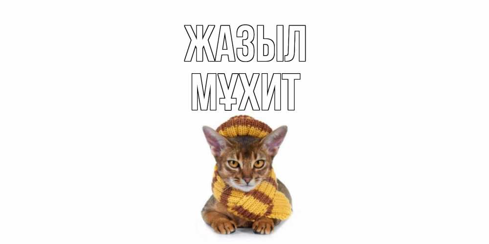 Күн сайын ашық хат с именем, МҰХИТ Жазыл родные не болейте Онлайн тегін жүктеп алу тілектері бар керемет карта 