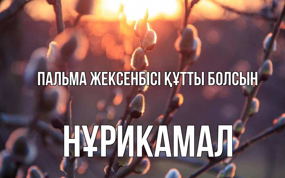 Күн сайын ашық хат с именем, НҰРИКАМАЛ Пальма жексенбісі құтты болсын верба Онлайн тегін жүктеп алу тілектері бар керемет карта 