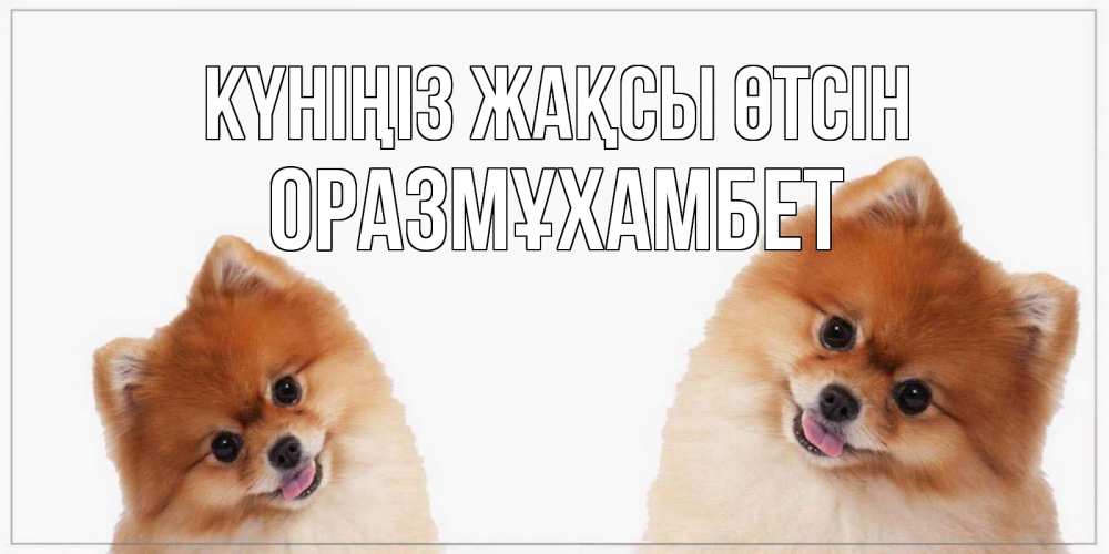 Күн сайын ашық хат с именем, ОРАЗМҰХАМБЕТ Күніңіз жақсы өтсін собачки желают прекрасного дня Онлайн тегін жүктеп алу тілектері бар керемет карта 