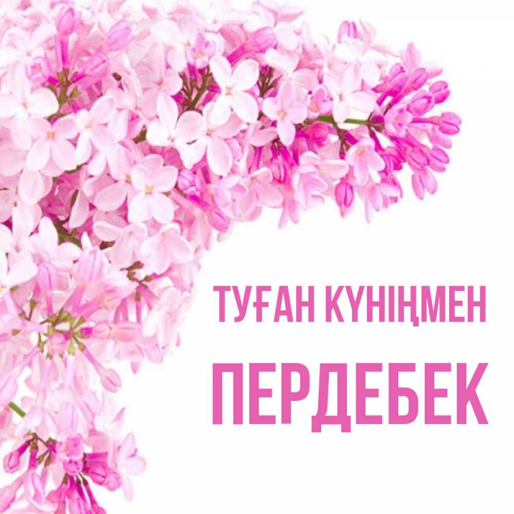 Күн сайын ашық хат с именем, ПЕРДЕБЕК Туған күніңмен Сирень на белом фоне Онлайн тегін жүктеп алу тілектері бар керемет карта 
