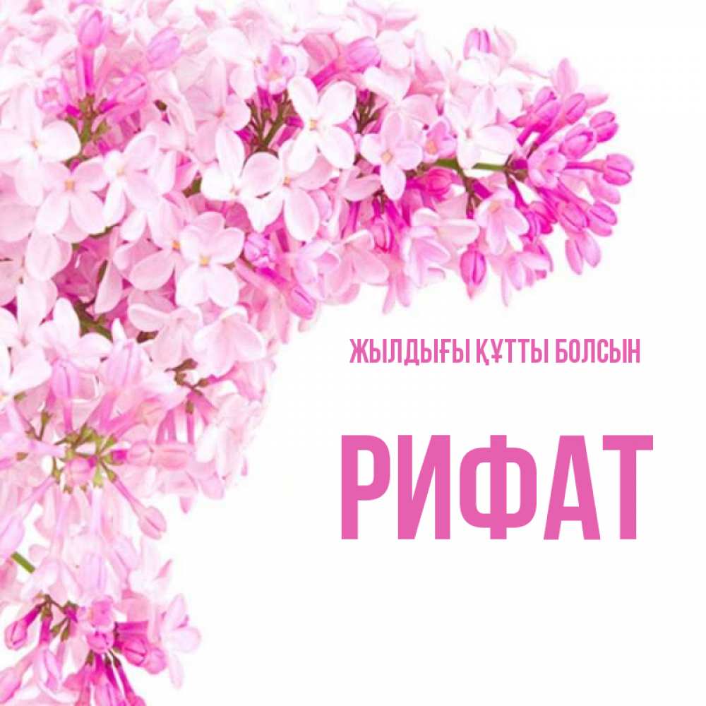 Күн сайын ашық хат с именем, Рифат Жылдығы құтты болсын Сирень на белом фоне Онлайн тегін жүктеп алу тілектері бар керемет карта 