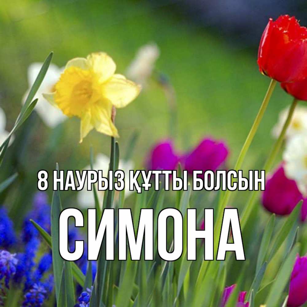 Күн сайын ашық хат с именем, Симона 8 наурыз құтты болсын международный женский день 3 Онлайн тегін жүктеп алу тілектері бар керемет карта 