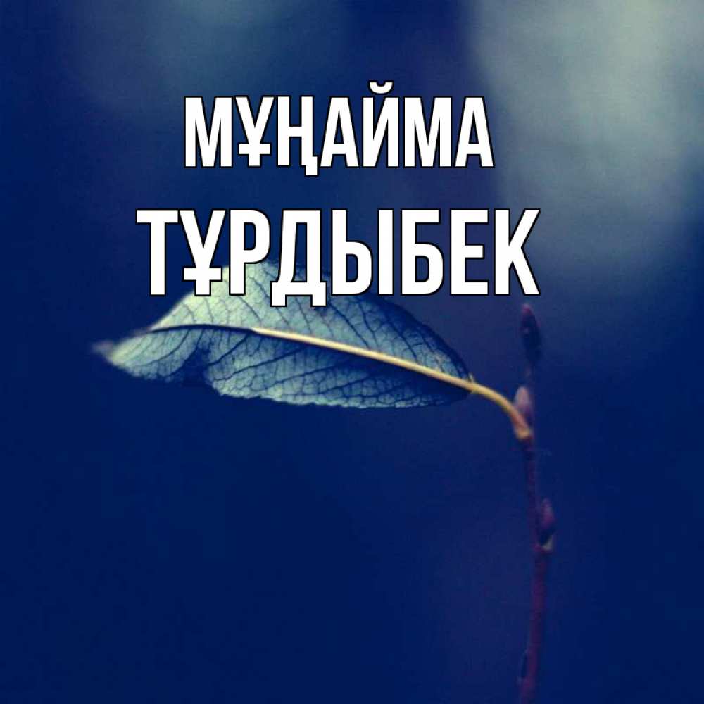 Күн сайын ашық хат с именем, ТҰРДЫБЕК Мұңайма растение Онлайн тегін жүктеп алу тілектері бар керемет карта 