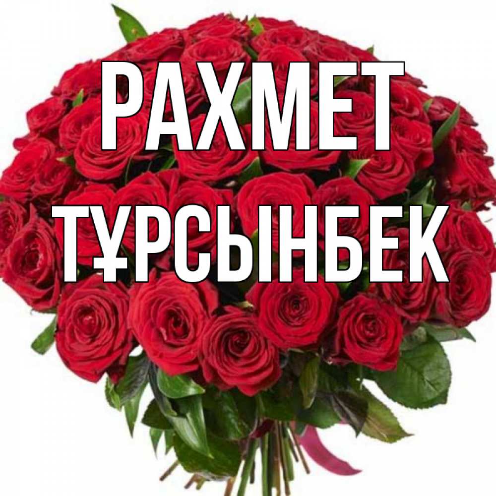 Күн сайын ашық хат с именем, ТҰРСЫНБЕК рахмет букет красных роз Онлайн тегін жүктеп алу тілектері бар керемет карта 