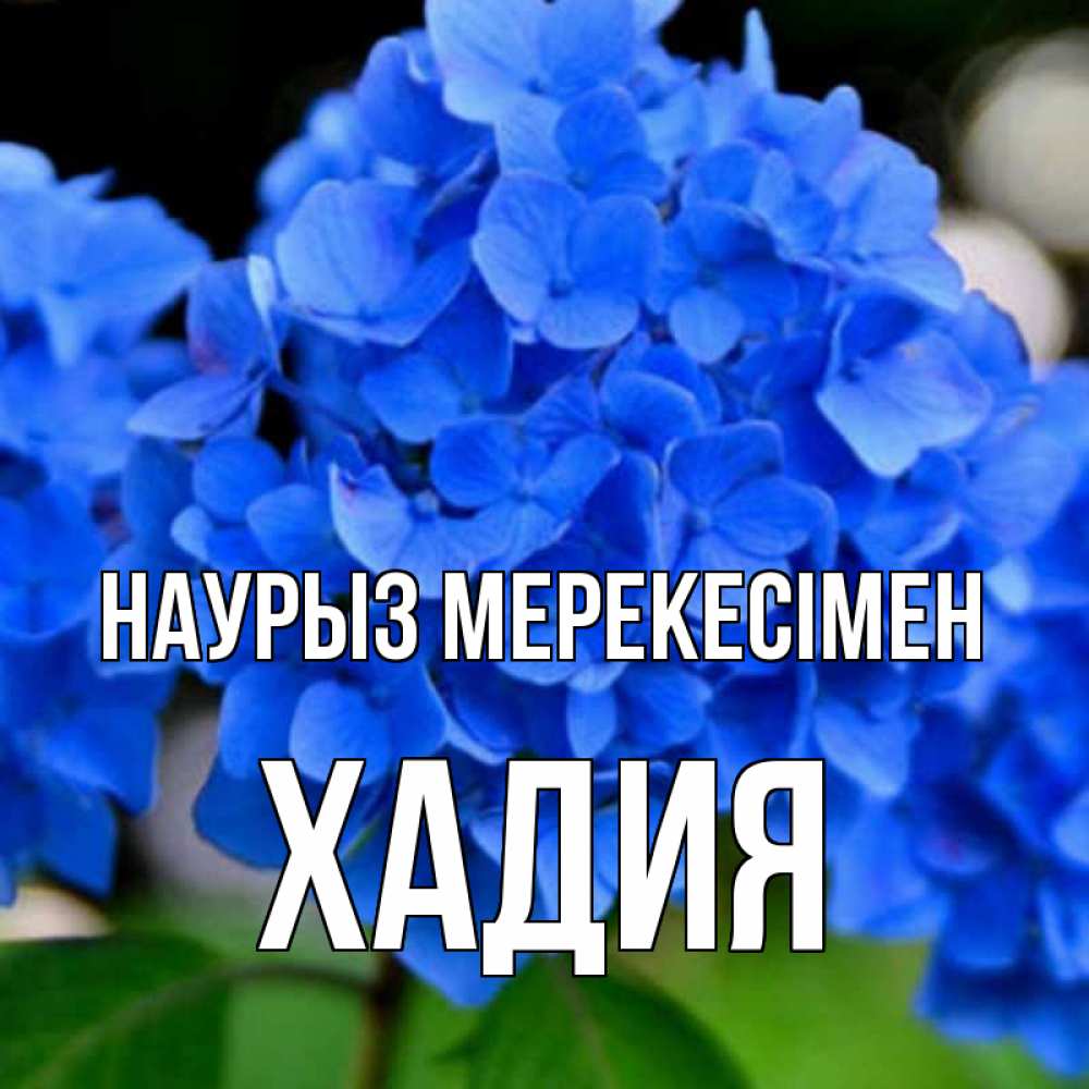 Күн сайын ашық хат с именем, ХАДИЯ Наурыз мерекесімен синие цветы Онлайн тегін жүктеп алу тілектері бар керемет карта 