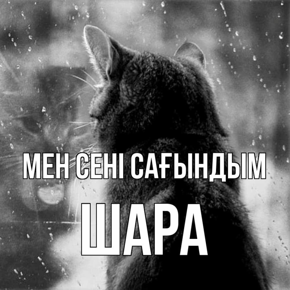 Күн сайын ашық хат с именем, ШАРА Мен сені сағындым скорее ко мне приходи 1 Онлайн тегін жүктеп алу тілектері бар керемет карта 