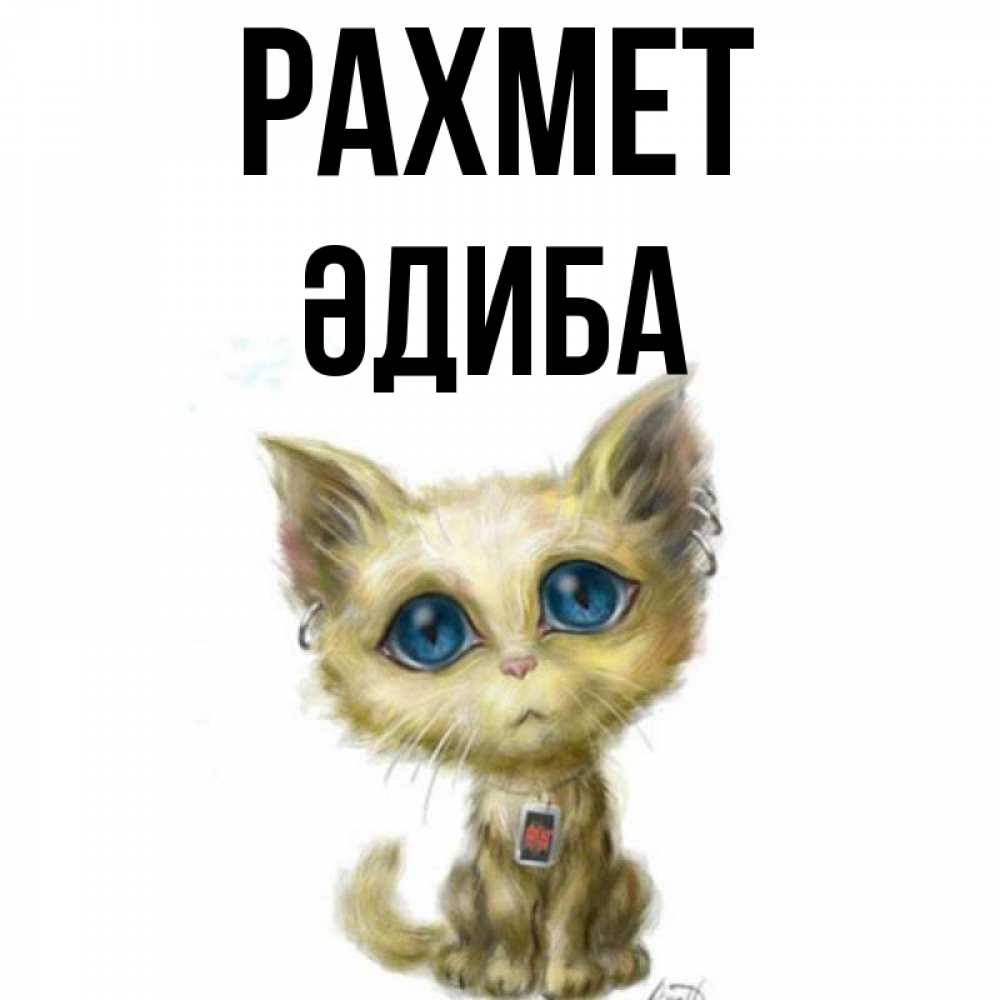 Күн сайын ашық хат с именем, ӘДИБА рахмет рисованный кот благодарит вас Онлайн тегін жүктеп алу тілектері бар керемет карта 