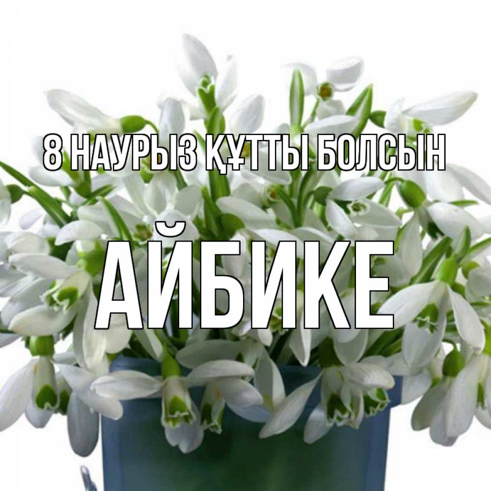 Күн сайын ашық хат с именем, АЙБИКЕ 8 наурыз құтты болсын цветы к международному женскому дню Онлайн тегін жүктеп алу тілектері бар керемет карта 