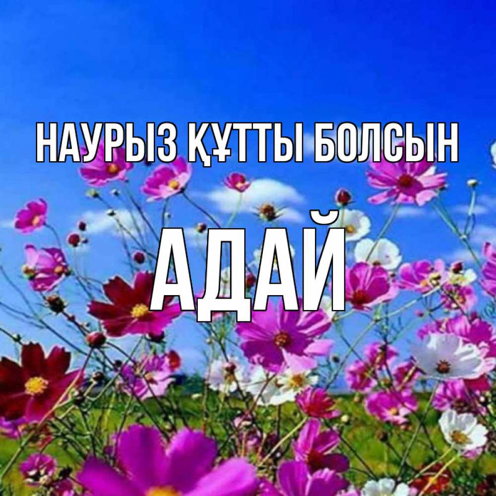 Күн сайын ашық хат с именем, Адай Наурыз құтты болсын цветы Онлайн тегін жүктеп алу тілектері бар керемет карта 