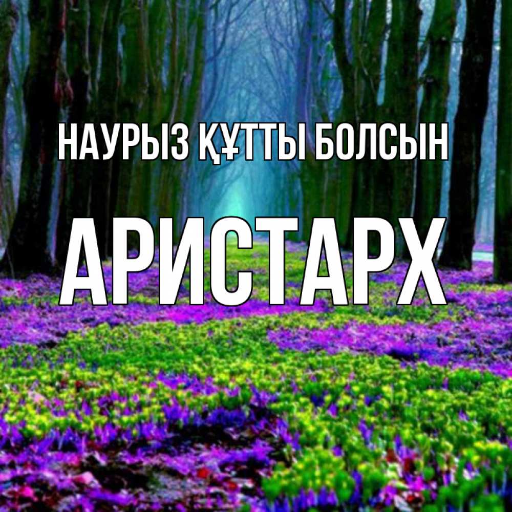 Күн сайын ашық хат с именем, Аристарх Наурыз құтты болсын фиолетовые цветы в лесу 1 Онлайн тегін жүктеп алу тілектері бар керемет карта 