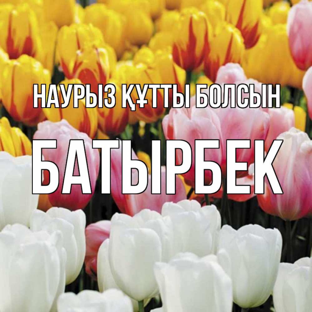 Күн сайын ашық хат с именем, Батырбек Наурыз құтты болсын разноцветные цветы Онлайн тегін жүктеп алу тілектері бар керемет карта 