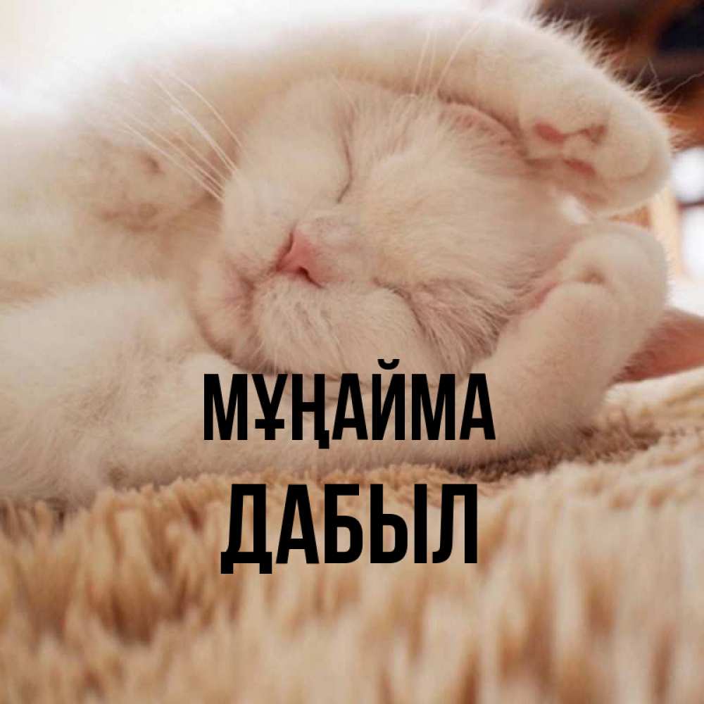 Күн сайын ашық хат с именем, Дабыл Мұңайма Котенок спит Онлайн тегін жүктеп алу тілектері бар керемет карта 