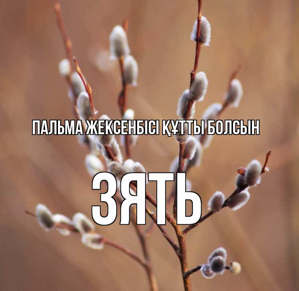 Күн сайын ашық хат с именем, Зять Пальма жексенбісі құтты болсын верба Онлайн тегін жүктеп алу тілектері бар керемет карта 