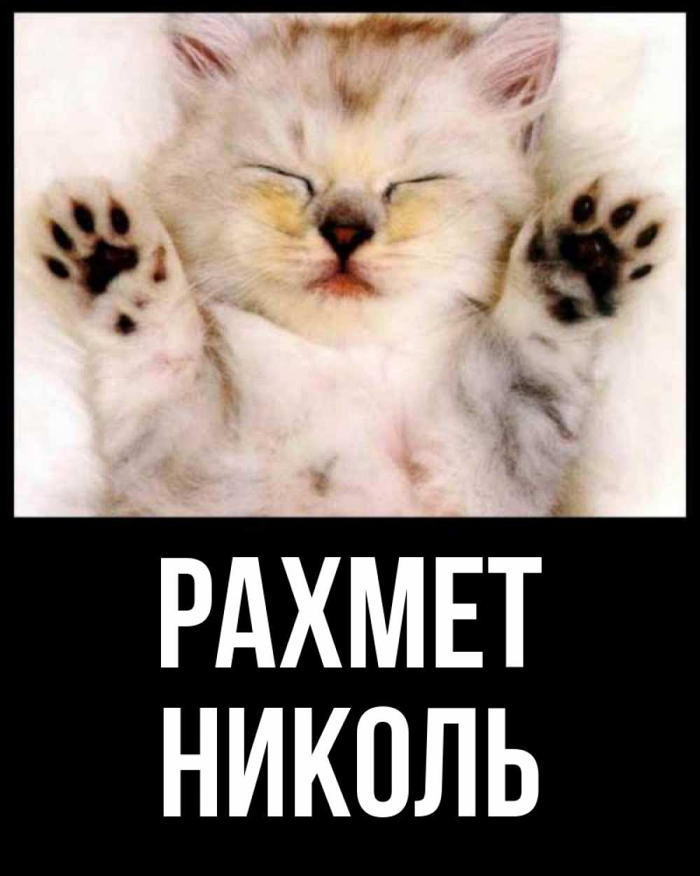 Күн сайын ашық хат с именем, Николь рахмет маленький котенок Онлайн тегін жүктеп алу тілектері бар керемет карта 