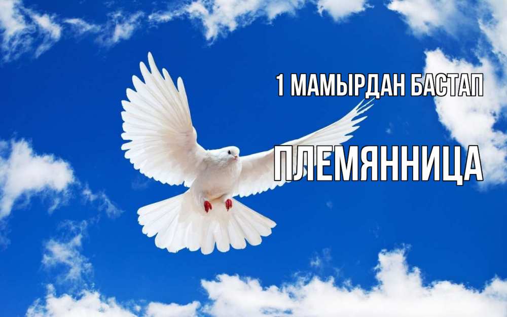Күн сайын ашық хат с именем, Племянница 1 мамырдан бастап С 1 мая 1 Онлайн тегін жүктеп алу тілектері бар керемет карта 