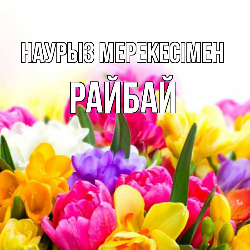 Күн сайын ашық хат с именем, РАЙБАЙ Наурыз мерекесімен тюльпаны Онлайн тегін жүктеп алу тілектері бар керемет карта 