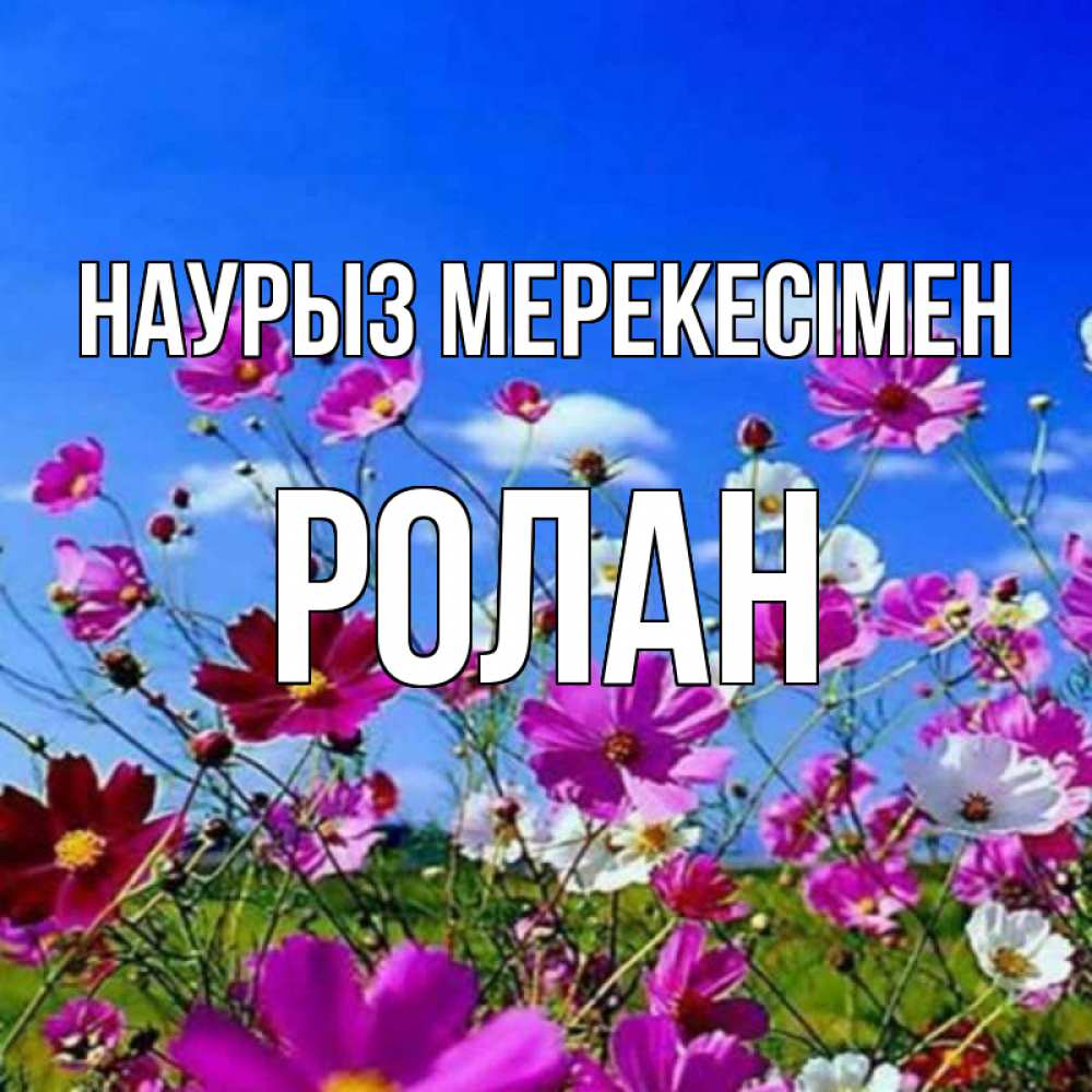 Күн сайын ашық хат с именем, Ролан Наурыз мерекесімен цветы Онлайн тегін жүктеп алу тілектері бар керемет карта 