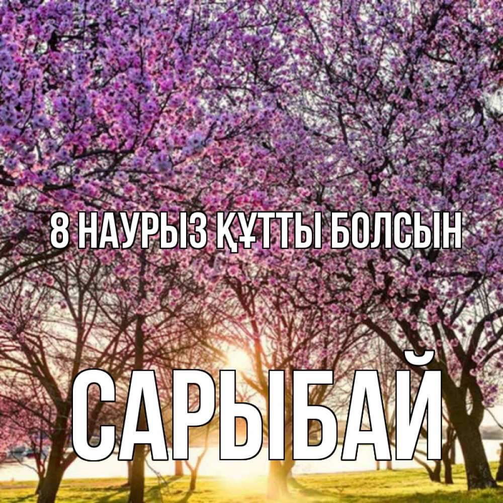 Күн сайын ашық хат с именем, САРЫБАЙ 8 наурыз құтты болсын международный женский день Онлайн тегін жүктеп алу тілектері бар керемет карта 