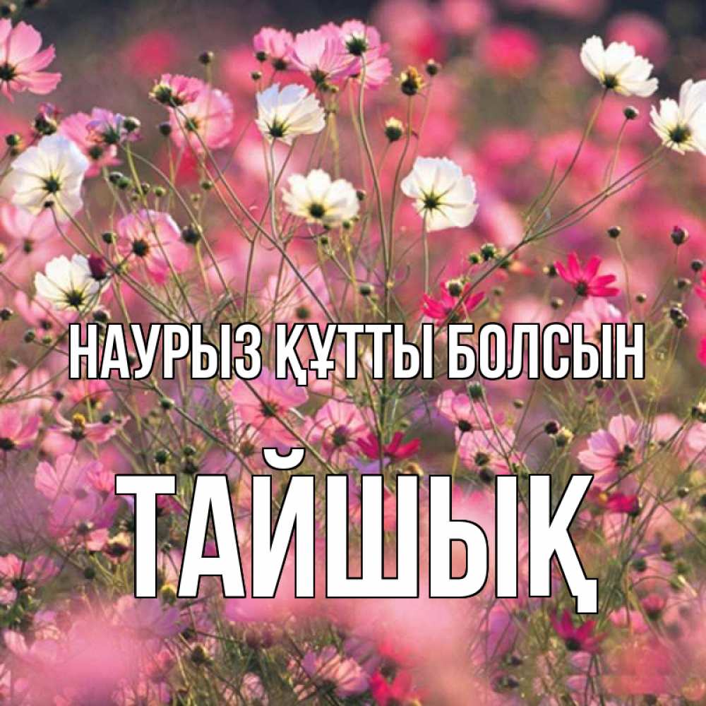 Күн сайын ашық хат с именем, ТАЙШЫҚ Наурыз құтты болсын красиво 1 Онлайн тегін жүктеп алу тілектері бар керемет карта 