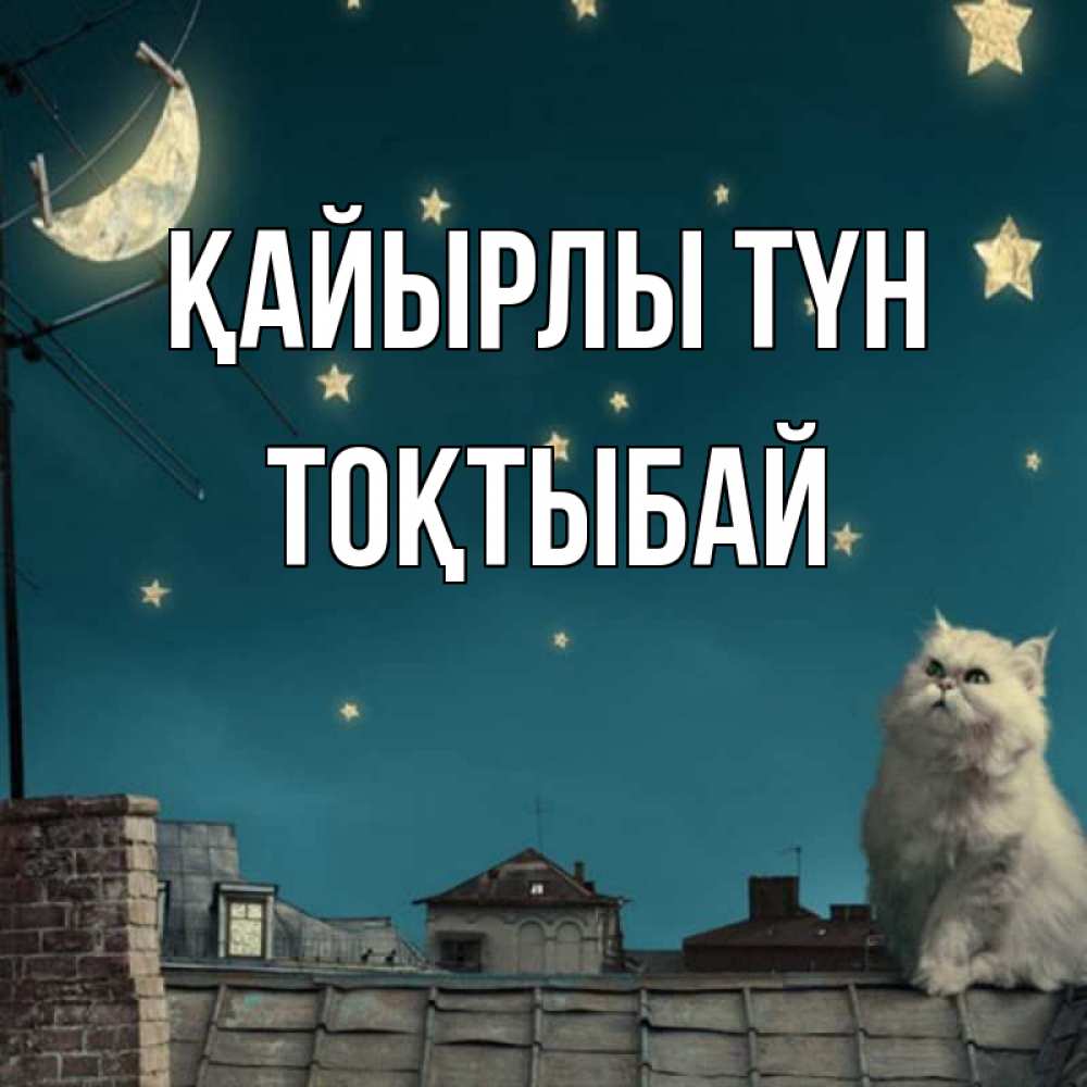 Күн сайын ашық хат с именем, ТОҚТЫБАЙ Қайырлы түн белый кот сидит на крыше Онлайн тегін жүктеп алу тілектері бар керемет карта 