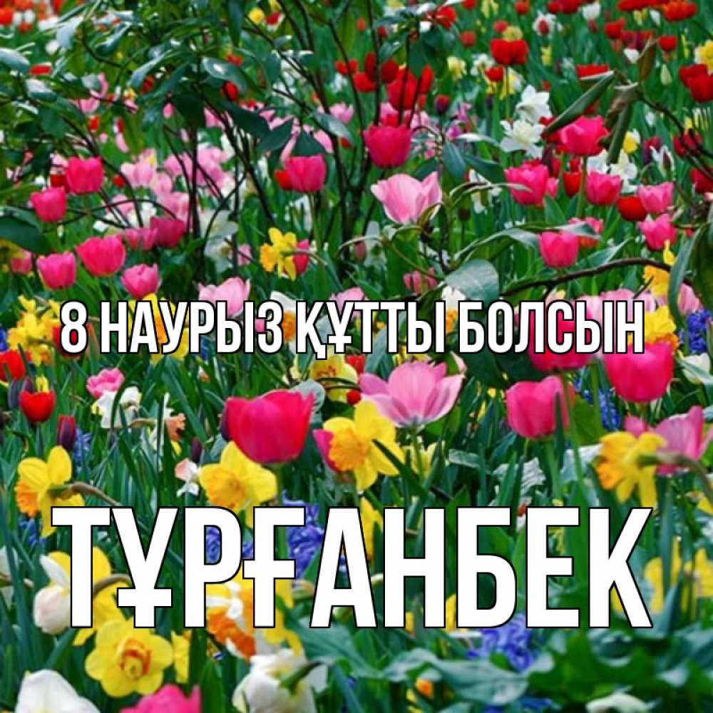 Күн сайын ашық хат с именем, ТҰРҒАНБЕК 8 наурыз құтты болсын с международным женским днем поздравления для женщины Онлайн тегін жүктеп алу тілектері бар керемет карта 